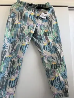 ゴースローキャラバン 新品未使用 サボテン