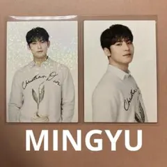 SEVENTEEN's HOMEトレカ ミンギュ