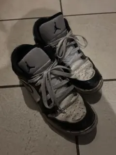 NIKE AIR JORDAN 1 LOW SE Concord 24cm