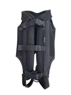 Item thumbnail for item 2b44e648-0575-4464-9e10-3b09239ca787