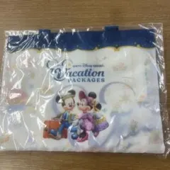 最終値下げ‼️85東京ディズニーバケーションパッケージバッグ.ガーゼケット