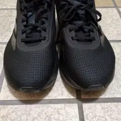 Item thumbnail for item 02fc96ce-5588-441e-bbe9-a45773481d3f