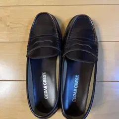 Item thumbnail for item 534bdc83-9b16-458a-9f9e-bbd69f19a459