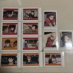 ハイキューゴミ捨て場の決戦 パシャこれ12枚入