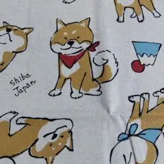大人気　柴犬イラスト　綿麻　生地
