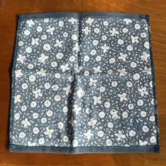 Item thumbnail for item 2b1e7f1e-609e-47f7-ad54-d1067d3ab143