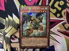 TW03 ドラグニティレガトゥス シクパラ 3枚 ドラグニティ