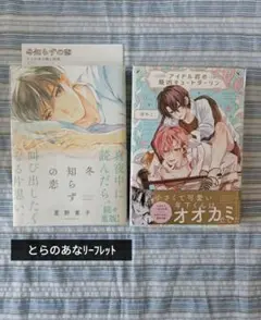 BL本　整理品