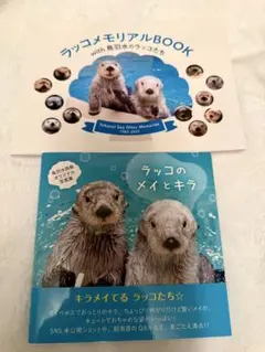 2026年最新】ラッコ 写真集の人気アイテム - メルカリ
