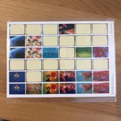 Item thumbnail for item f4a52c57-bb77-4e86-bac4-4ca142164fe0