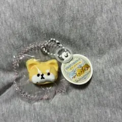 とろとろアニマルスクイーズ ポイントチャーム 柴犬