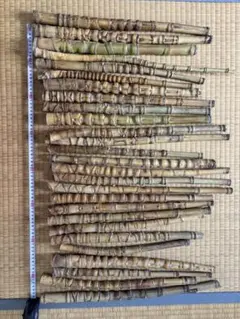 布袋竹(細め)長さ49〜56cm6本セット 釣り具・その他グリップ素材に①