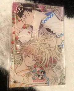 CLAMP アクリルシャドーボックス ツバサクロニクル ファイ 小狼 黒鋼 