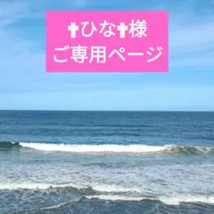 ✟ひな✟様ご専用ページ