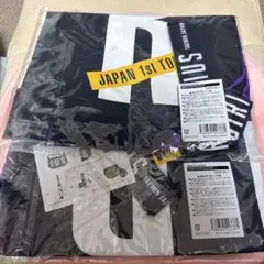 Item thumbnail for item 8c000a8b-8819-4064-901f-2c60cc1132ff