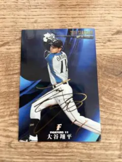 カルビー プロ野球チップス 大谷 翔平 エンゼルス 赤 箔サイン