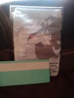 「デスノートnanacoカード（B-TYPE）」+オリジナルフェイスタオルセット