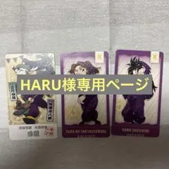 HARU様専用ページ
