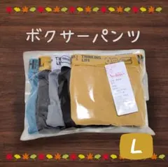 ボクサーパンツ5枚セットＬサイズ前閉じ ボクサーブリーフ 下着 サイズ要確認