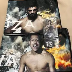 Item thumbnail for item 2ab661b1-6b56-4d2b-a594-a4a6d08291cd