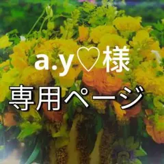 2025年最新】リサージ スキンメインテナイザー m3の人気アイテム