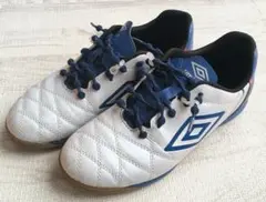 Item thumbnail for item de62d8da-8a1b-4bdd-bf80-3082cdeeacf4