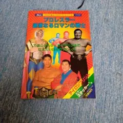 プロレスオールガイドブック3　プロレスラー過激なるロマンの戦士 プロレスオールガイドブック3 プロレスラー過激なるロマンの戦士