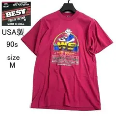 90s USA製 フェスTシャツ ヴィンテージ バンドT フルーツオブザルームのサムネイル