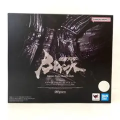フィギュアーツ BLACK SUN amazon限定ver.