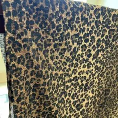 Item thumbnail for item 05007051-623e-4b39-993a-14ea5a3236e2