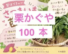 栗かぐや苗300本21日発送 - メルカリ