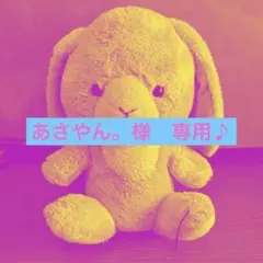 おすそ分けファイル&平袋