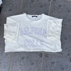 Item thumbnail for item 1befa15e-f41d-4457-9154-7541f2721c5b