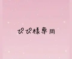 ぴぴ様　専用出品