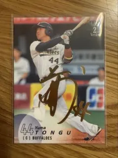 Item thumbnail for item 445fb7a9-d005-4aa1-8712-5f408f616a1d