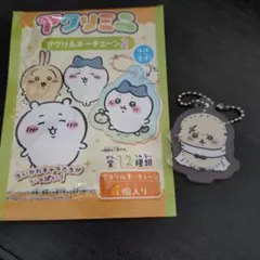 ちいかわ ラッコ