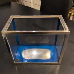 2026年最新】レトロ 水槽の人気アイテム - メルカリ