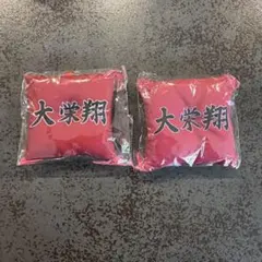 大相撲 大栄翔 座布団キーホルダー 2点セット