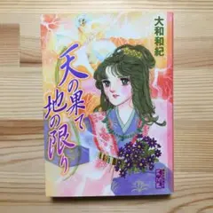 天の果て地の限り　文庫版　大和和紀