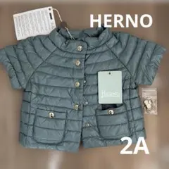 Herno グリーン ショートスリーブジャケット　EU2Aサイズ