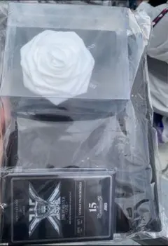 三代目　スタジアム　アプグレグッズ