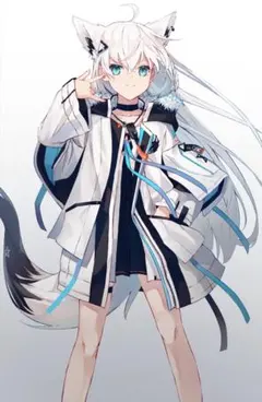 2026年最新】白上フブキ タペストリー 等身大の人気アイテム - メルカリ