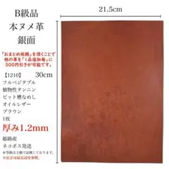 Item thumbnail for item a9ef8b2d-ef82-4ce5-ad06-bffeb98b9c9c