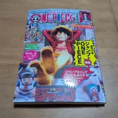 ONE PIECEmagazine ワンピースマガジン20 新品未開封プロモ付き