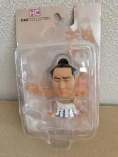 2026年最新】haoコレクションの人気アイテム - メルカリ