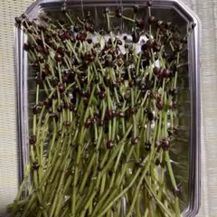 ねえやん様専用