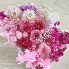 アリスさまご専用