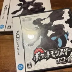 ポケットモンスター ホワイト ニンテンドーDS