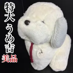 オリエンタルトーイ　うめ吉 着ぐるみ　ウサギ　ぬいぐるみ 5コ　バラ売不可 オリエンタルトーイ うめ吉 着ぐるみ ウサギ ぬいぐるみ 5コ バラ売