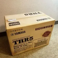 2026年最新】Yamaha thr アダプタの人気アイテム - メルカリ